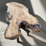 Live Edge Spalted Maple Coffee Table