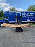 Live Edge Black Walnut Slab 147"Lx12-16"Wx3"T