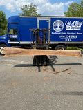 Live Edge Black Walnut Slab 159"Lx11-20"Wx2"T
