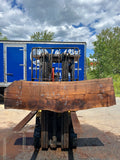 Live Edge Black Walnut Slab 81 1/2"Lx21-22"Wx3"T