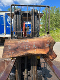 Live Edge Black Walnut Slab 48"Lx16-24"Wx2 1/2"T