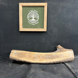 Live Edge Black Walnut Slab 54"Lx6-14"Wx6 1/2"T