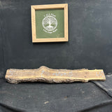 Live Edge Black Walnut Slab 65"Lx5-7"Wx4 1/2"T