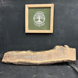 Live Edge Black Walnut Slab 67"Lx8-13"Wx5"T