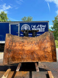 Live Edge Copper Beech Slab 100"L x 47-59"W x 2 1/2"W
