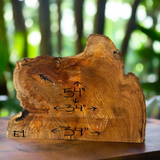 Live Edge Elm Slab 54"Lx34"Wx3"T