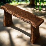 Live Edge Black Walnut Burl Bench