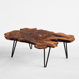 Live Edge Black Walnut Burl Coffee Table