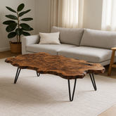Live Edge Black Walnut Burl Coffee Table
