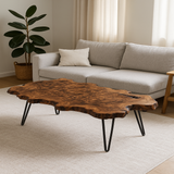 Live Edge Black Walnut Burl Coffee Table