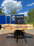 Live Edge Spalted Black Oak Slab 110 1/2"L x 18-19 1/2"W x 3-5"T