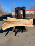 Live Edge Spalted Maple Slab 85"Lx21-36"Wx3"T
