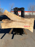 Live Edge Spalted Maple Slab 83"Lx31-49"Wx3"T