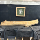 Live Edge Sycamore Slab 102"Lx13-17"Wx2"T