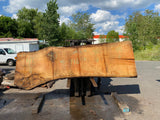 Live Edge Oak Slab 148"Lx40-47"Wx3"T