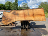 Live Edge Oak Slab 150"Lx43-46"Wx3"T