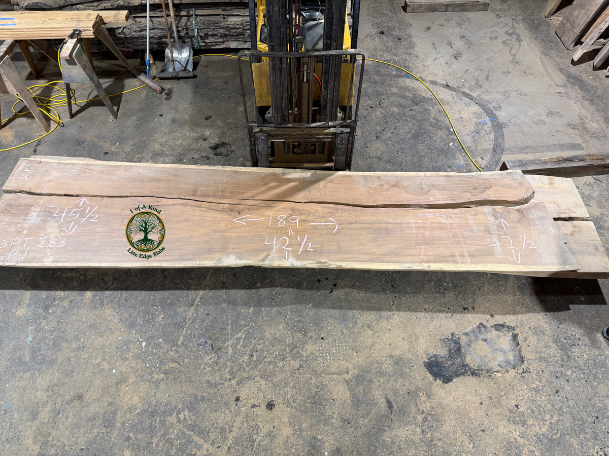 Live Edge Monkey Pod Slab 189”L x 44”W x 2”T   DPT 283