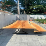 Live Edge Sycamore Bench