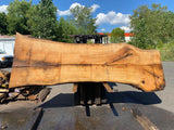 Live Edge Red Oak Slab 149 1/2"Lx40-51 1/2"Wx3"T