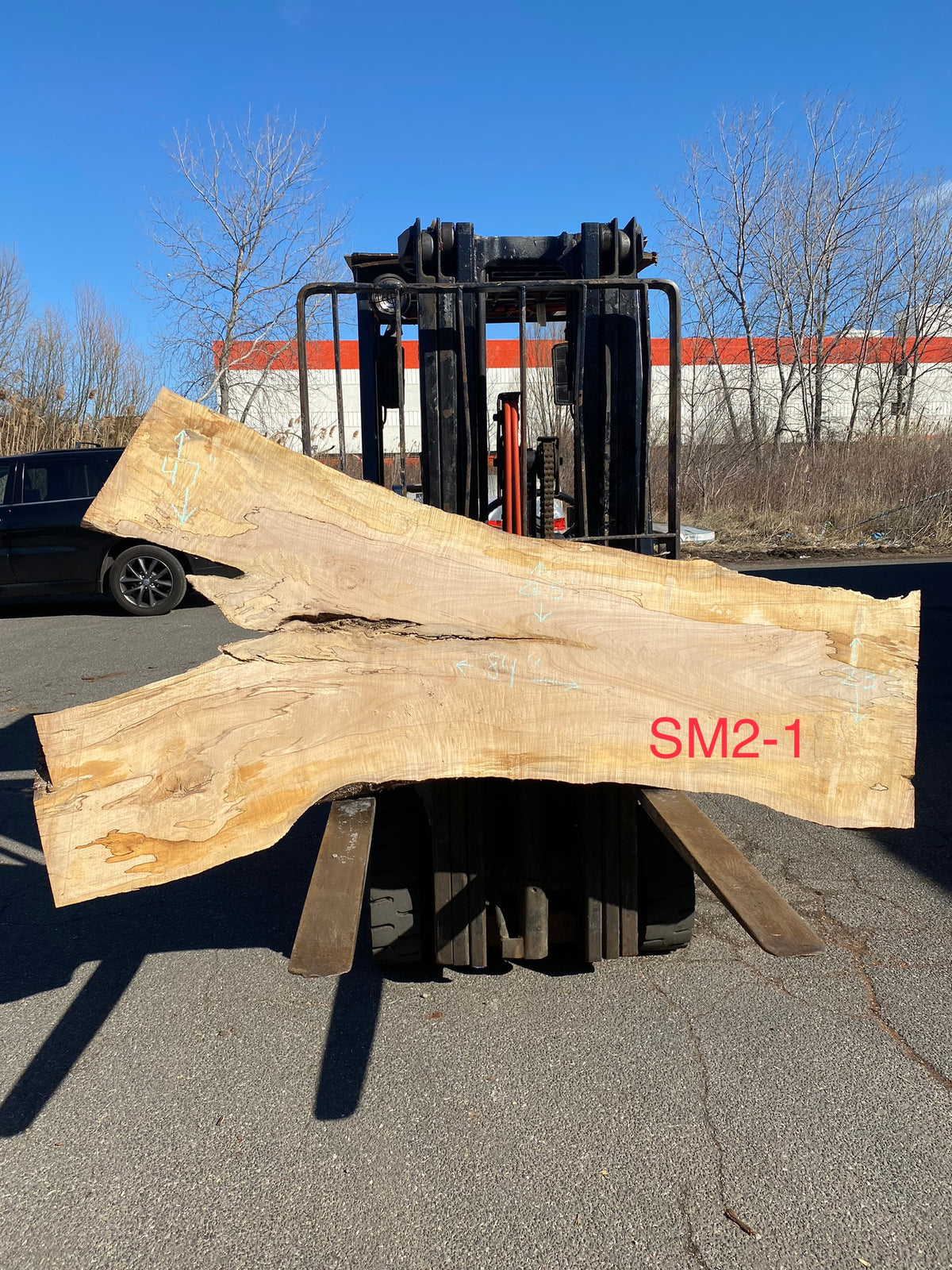 Live Edge Spalted Maple Slab 84"Lx23-47"Wx3"T