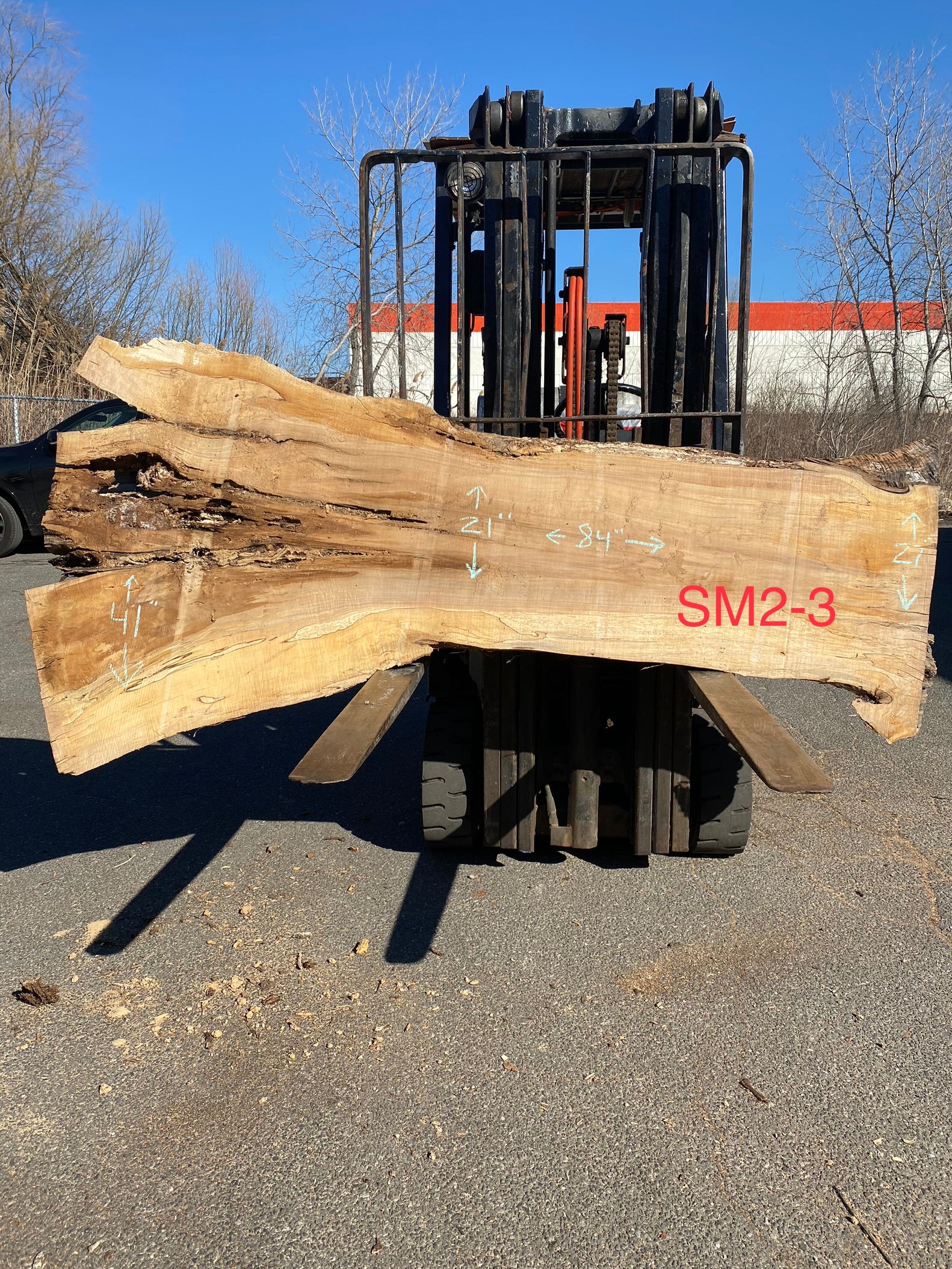 Live Edge Spalted Maple Slab 84"Lx21-41"Wx3"T