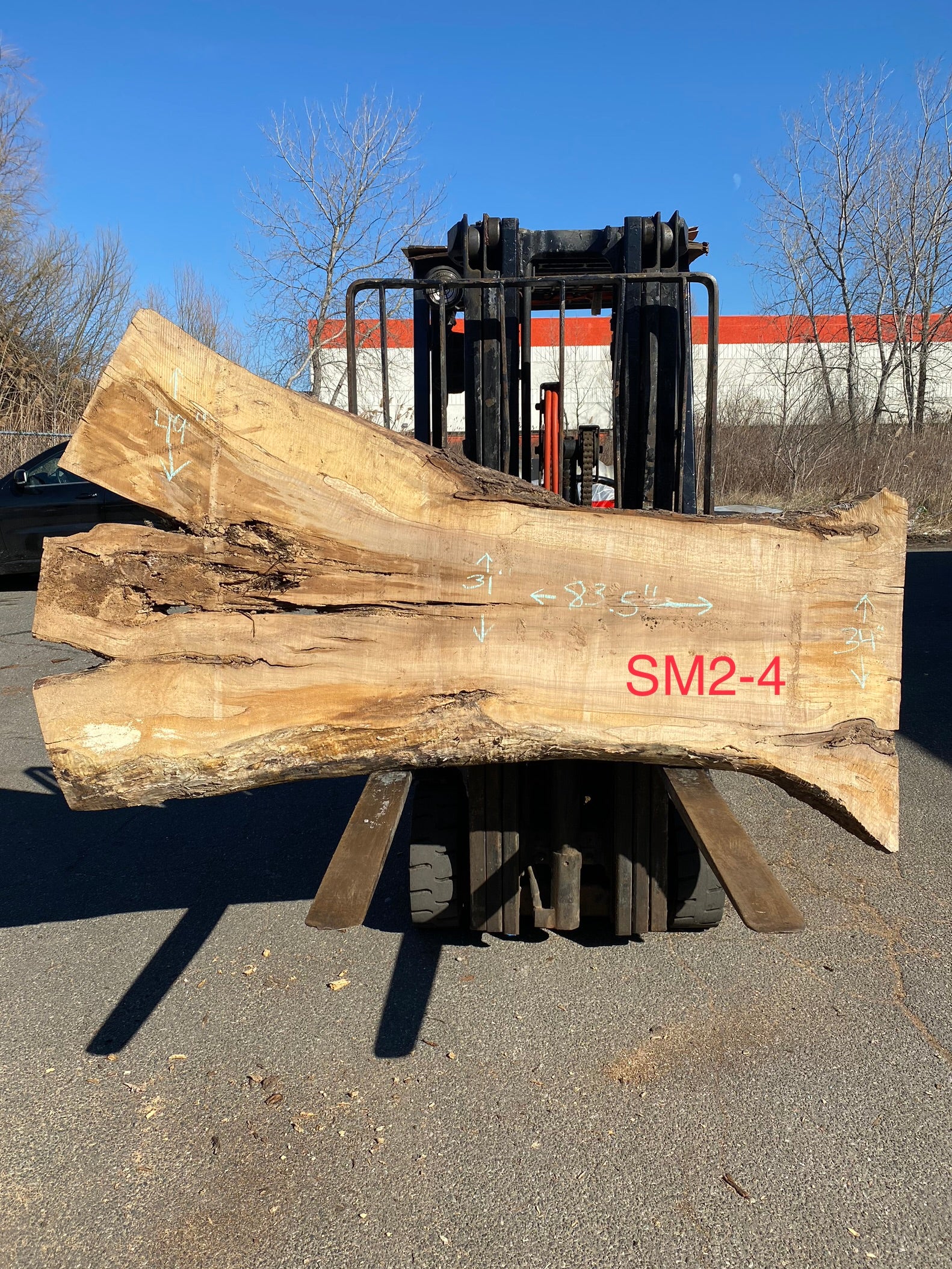 Live Edge Spalted Maple Slab 83.5"Lx31-49"Wx3"T